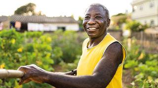 Smiling older person standing amongst crops, holding a wooden gardening tool